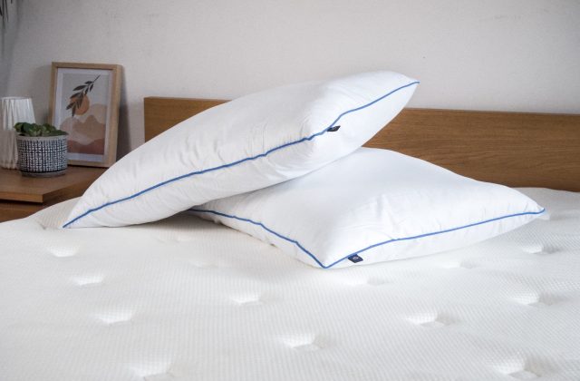 TEMPUR Kopfkissen im Test