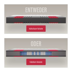 Paradies Prolife Supreme 7-Zonen Kaltschaum