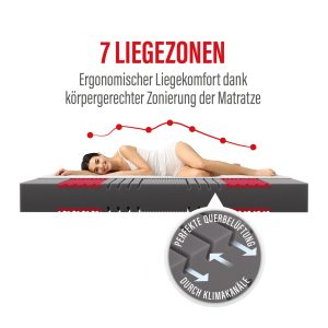 Paradies Prolife Supreme 7-Zonen Kaltschaum