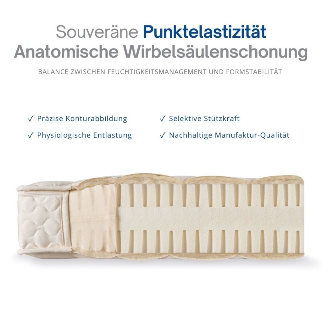 dormiente Natural Basic 2 – Querschnitt mit Hinweisen zur Punktelastizität