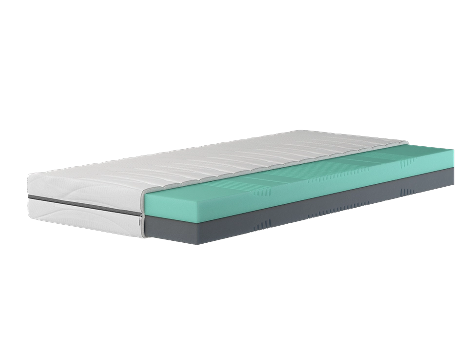 Elastica Basic
