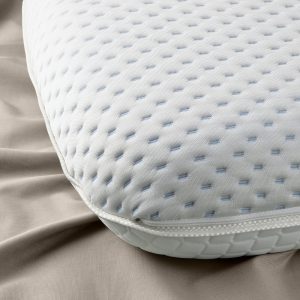 IKEA RAMSLÖKSMAL Kissen