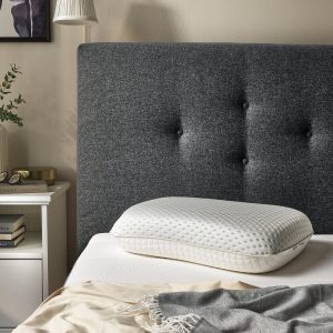 IKEA RAMSLÖKSMAL Kissen