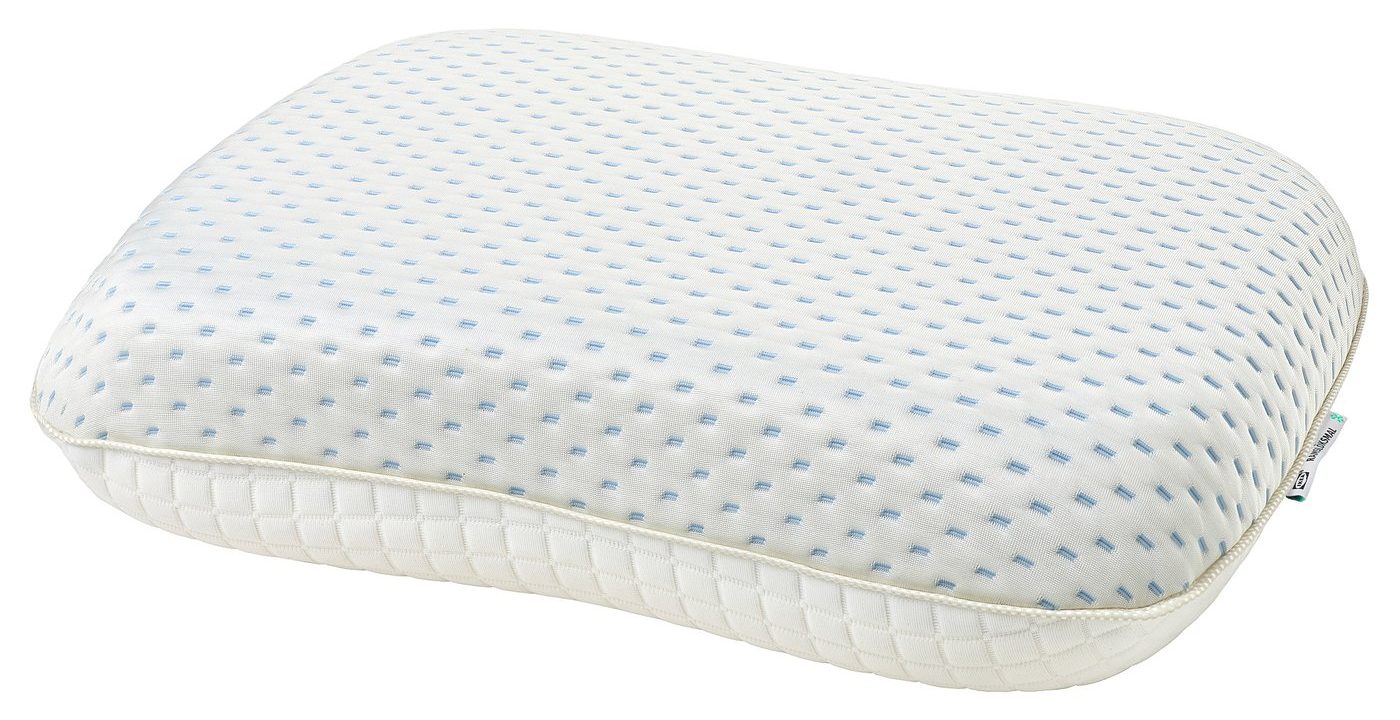 IKEA RAMSLÖKSMAL Kissen
