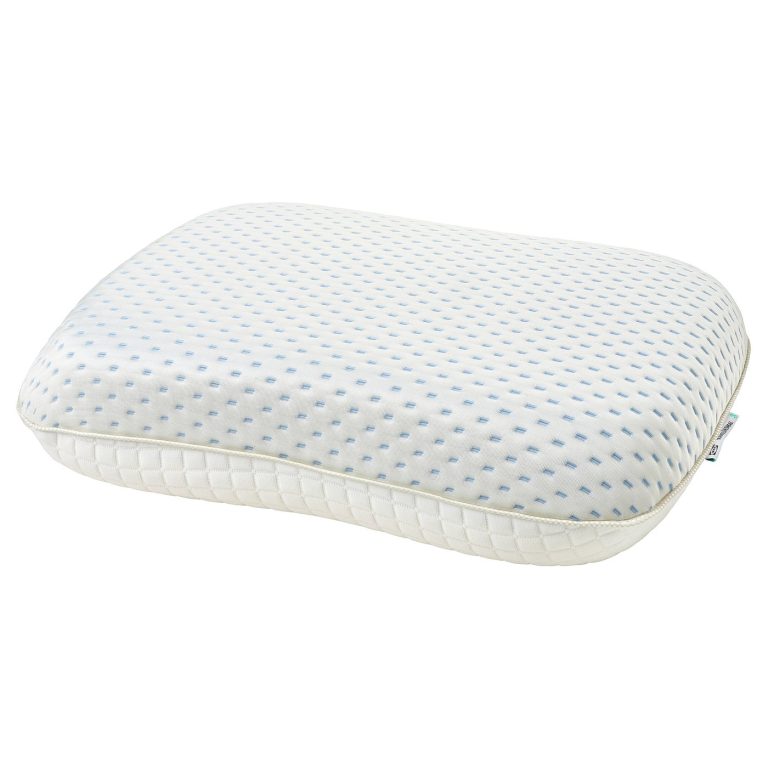 IKEA RAMSLÖKSMAL Kissen