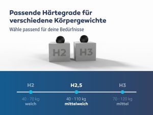 Betten-ABC Dream Spezial Sondermaß Kaltschaummatratze