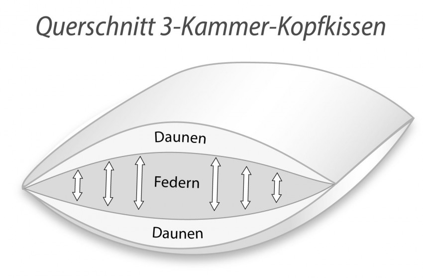Klosterdorf 3-Kammer Kopfkissen nobel – Querschnitt mit Daunen- und Federkammern