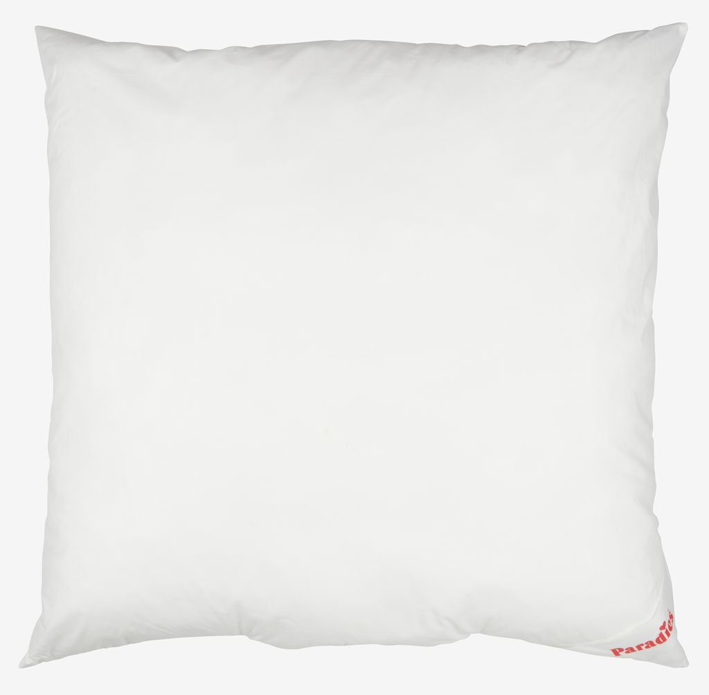 Paradies Softy Prima Kopfkissen in 80x80 cm, weißer Baumwollbezug, Produktfoto freigestellt