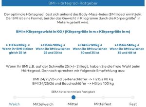 Meisterschlaf SERA Tonnentaschenfederkernmatratze