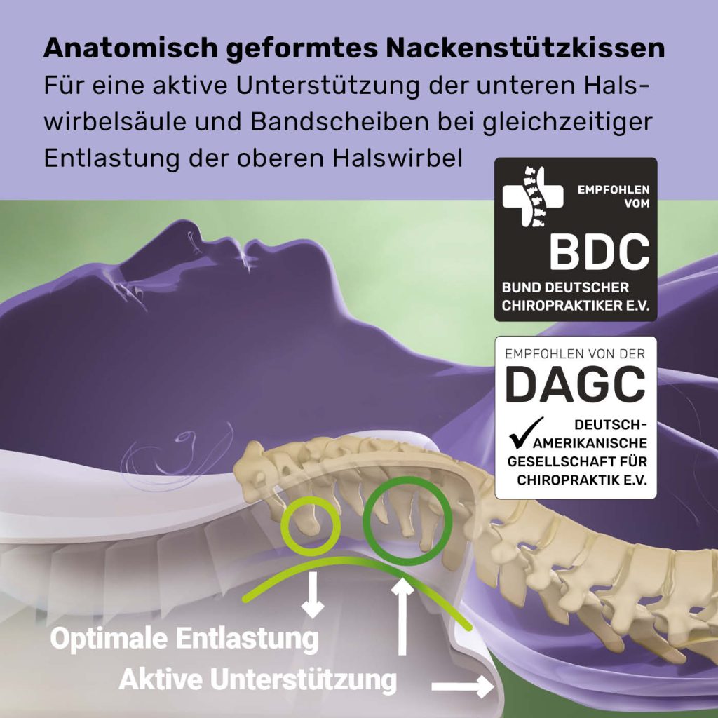 Centa-Star NeckProtect – Infografik zur Stütze der unteren Halswirbel