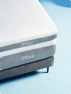 Cloudpillo Plus Topper
