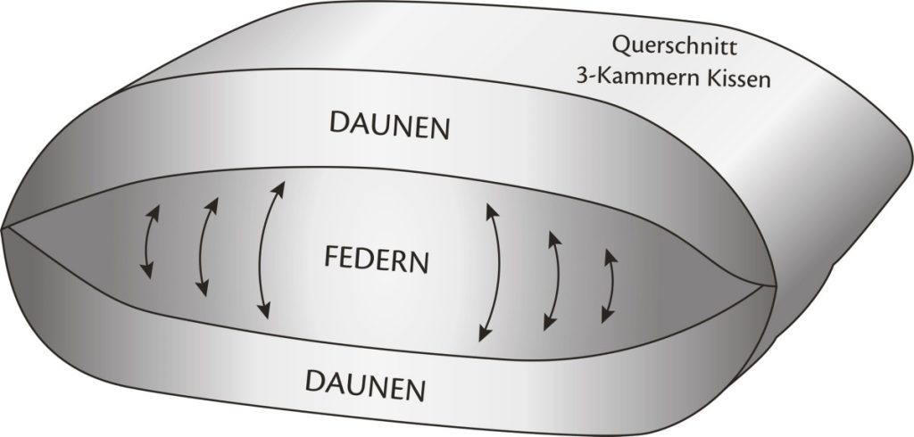 Querschnitt des Erwin Müller Trio-Kissens Toronto mit Federkern und zwei Daunenkammern