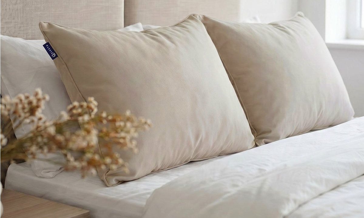 Zelesta Kopfkissen im Test: Die Modelle im Vergleich