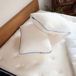 QUL, GOLS und IVN Best: Welches Naturlatex-Siegel sagt was?